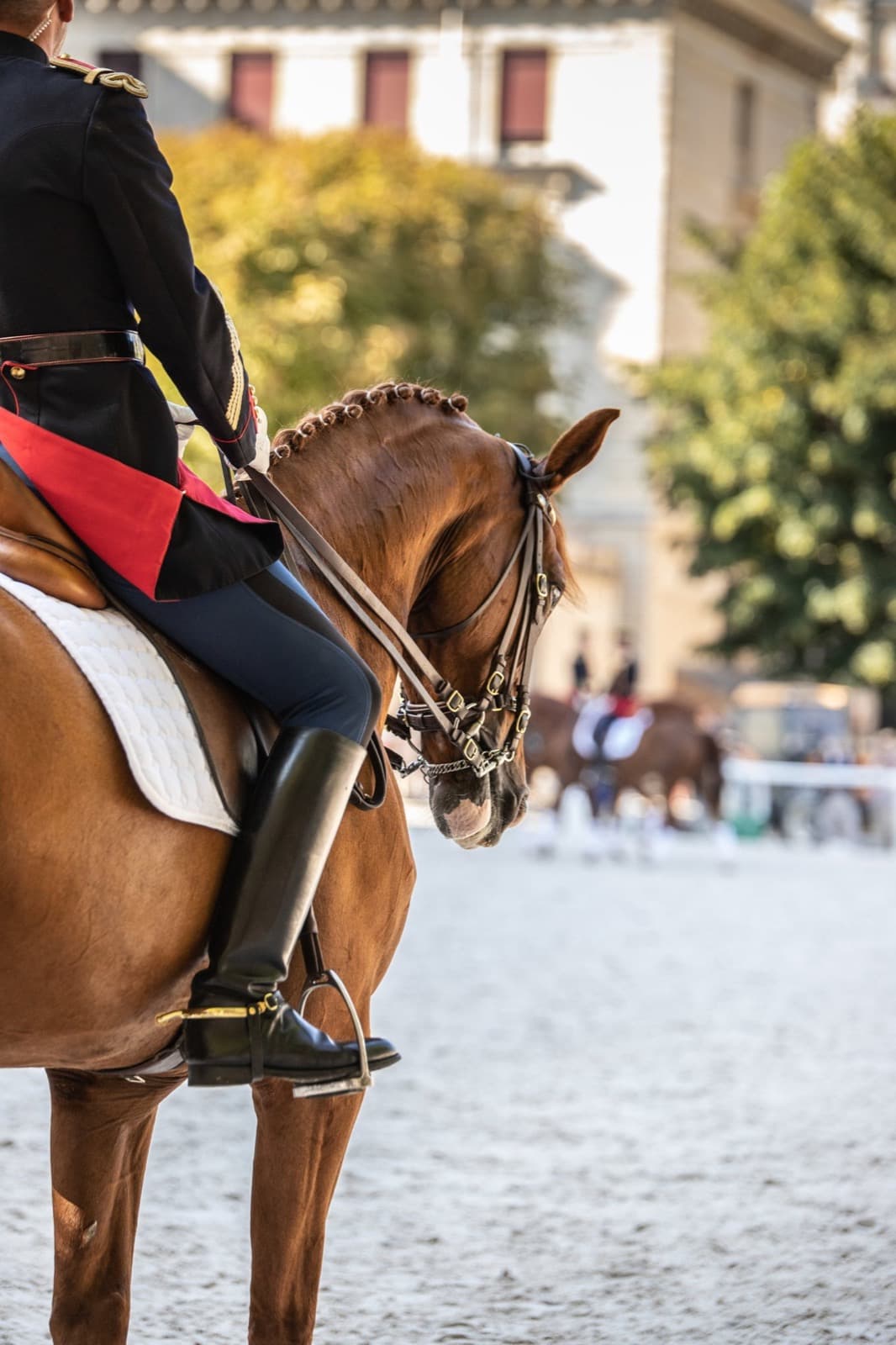 Cavalier en tenue de cérémonie lors d'un reportage institutionnel
