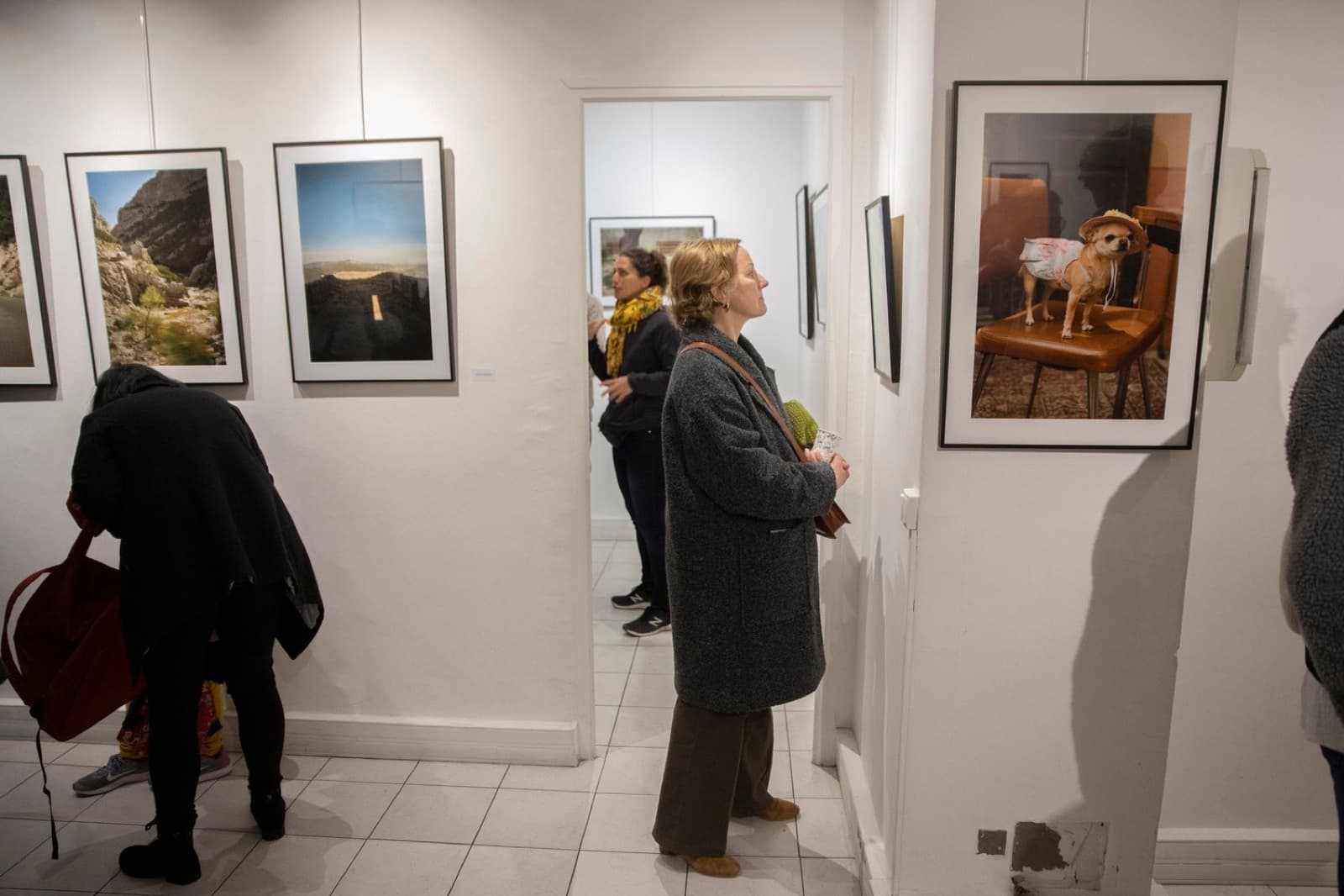 Public découvrant une exposition lors d'un vernissage